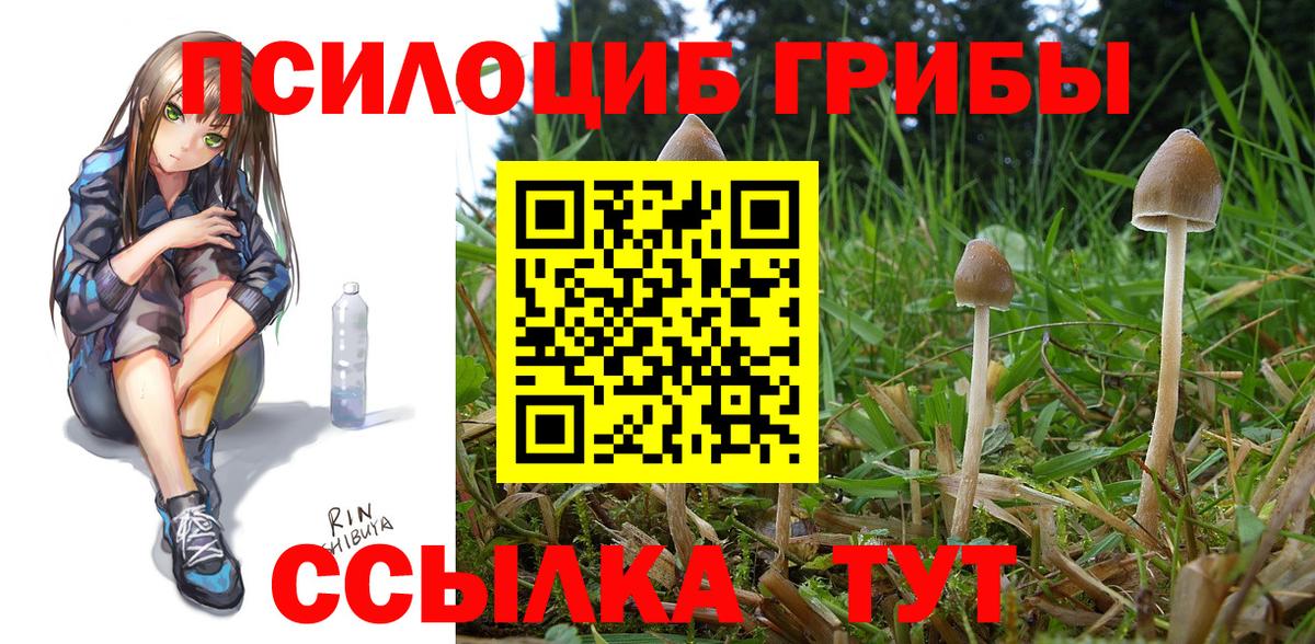 Галлюциногенные грибы ЛСД Осинники